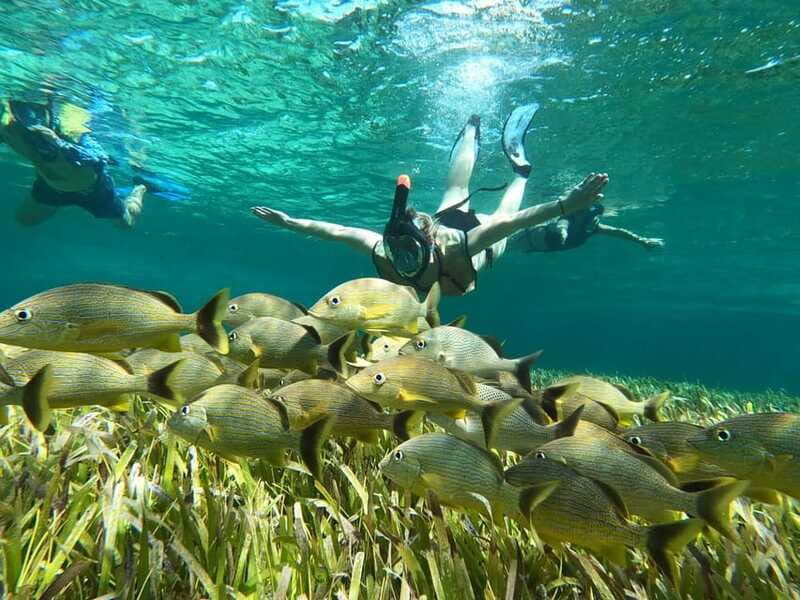 Private Jeep tour to Punta Sur park + snorkel + Lunch - Final Thoughts