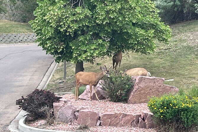 Private Jeep Tour to Red Rocks, Dinosaur Ridge, Lookout Mountain - Who Should Consider This Tour?