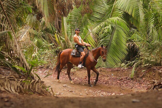 Private Jungle Horseback Adventure - Discover the Private Jungle Horseback Adventure in Sayulita