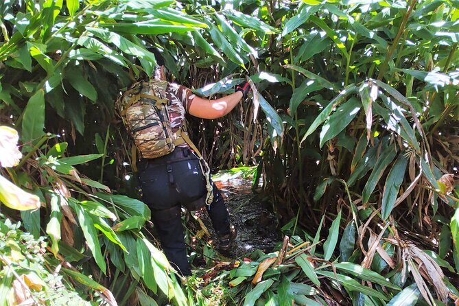 Private Jungle Waterfall Adventure, Wit Da Native Hawaiian Dundee - The Practicalities: What to Know Before You Book