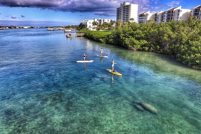 Private Jupiter Island Guided Paddle Boarding Tour - What the Tour Offers