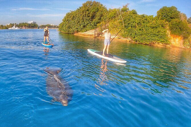Private Jupiter Island Guided Paddle Boarding Tour - The Practical Side: Logistics and Value