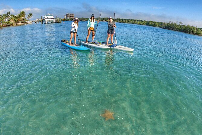 Private Jupiter Island Guided Paddle Boarding Tour - The Sum Up