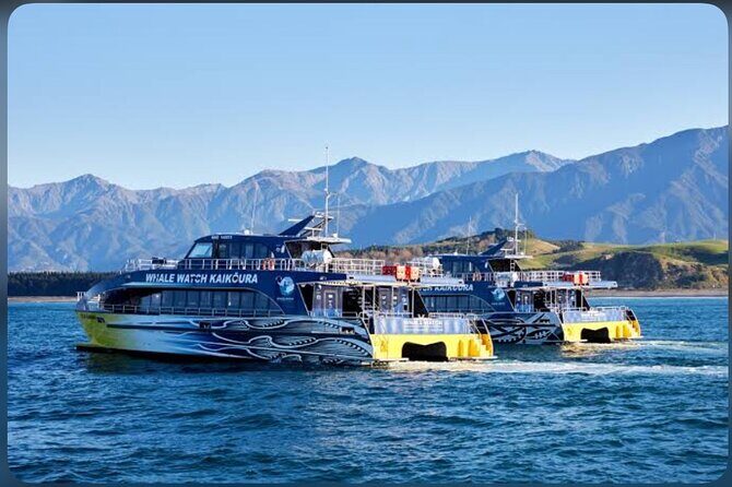 Private Kaikoura Whale Watching Day Trip From Christchurch - Introduction