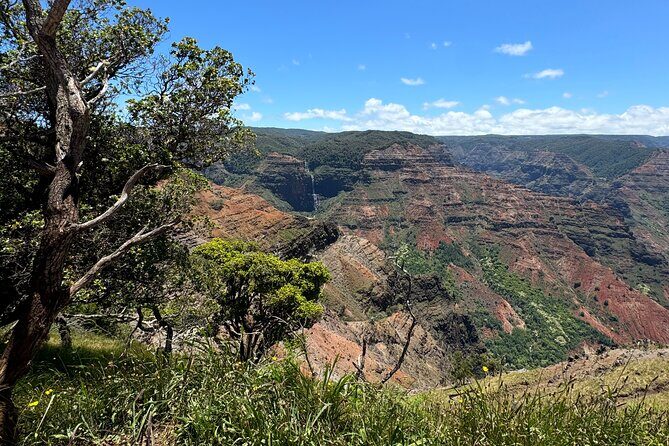 Private Kauai Island Tour : Waimea Canyon, Kalalau Lookout + More - Discovering Kauai Through a Private Lens