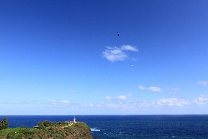 Private Kauai Island Tour : Waimea Canyon, Kalalau Lookout + More - What We Like and Don’t Love