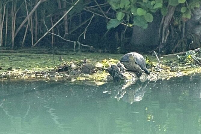 Private Kayaking Experience in Parga area - Final Thoughts