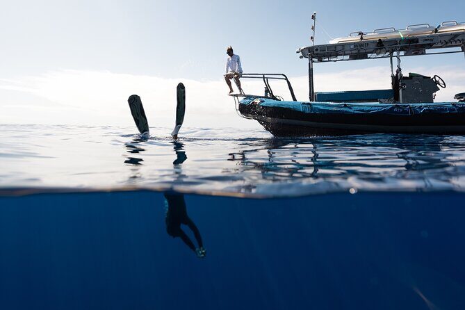 Private Kealakekua Bay Snorkel with Dolphin Watch - Final Thoughts