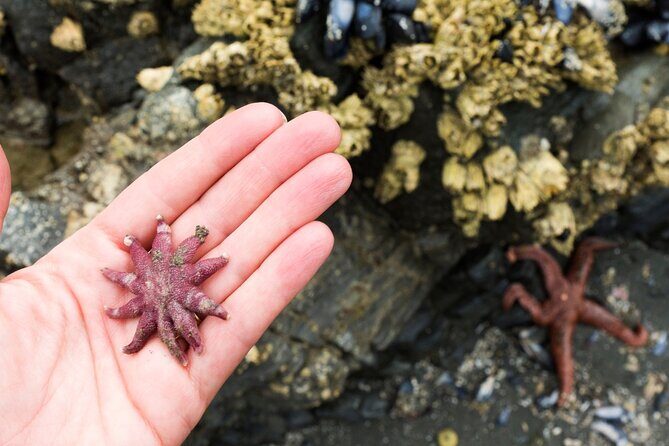 Private Ketchikan Wildlife and Sightseeing Tour - Deep Dive into the Experience