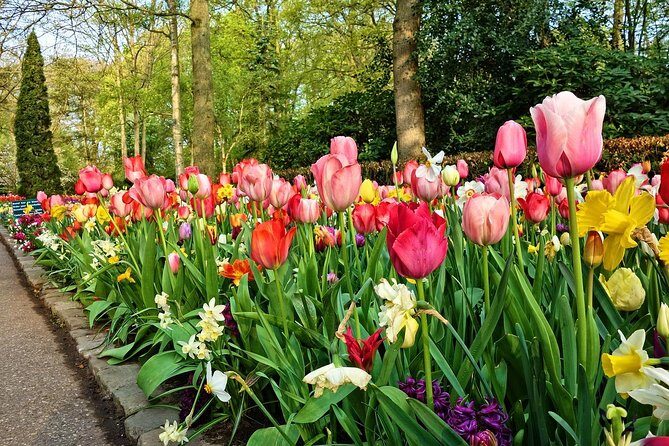 Private Keukenhof, Gardens, Windmills, cheese tour from Amsterdam - Price and Value
