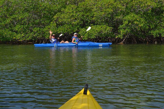 Private Key West Sandbar and Paddle by Boat - Final Thoughts: Who Should Consider This Tour?