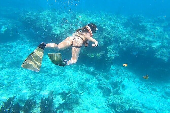 Private Key West Snorkeling Adventure - What About the Cost?