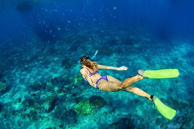 Private Key West Snorkeling Adventure - The Real-Life Experience: What Travelers Say