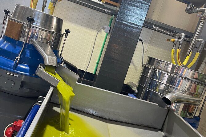 PRIVATE-Knossos Palace-Lasithi-Winery-Old Villages-Olive Oil Mill - FAQ