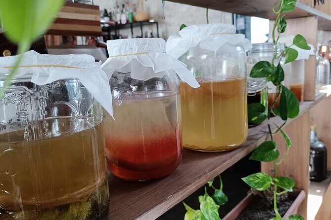 Private Kombucha Making Workshop in Cyprus - Is the Price Worth It?