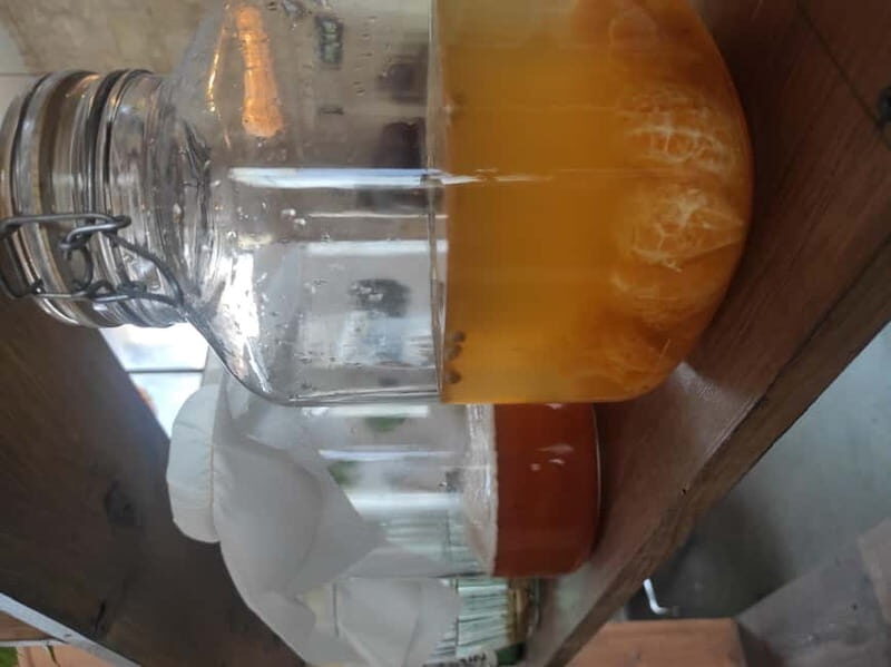Private Kombucha Making Workshop in Cyprus - Final Thoughts