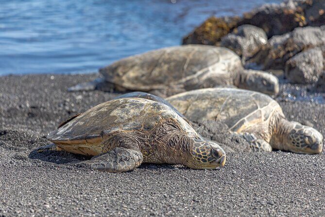 Private Kona Coffee and National Historic Parks Tour - Final Thoughts