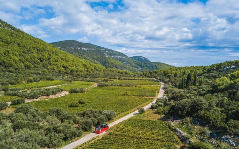 Private Korula Island: Wine & Sightseeing Tour - Final Thoughts