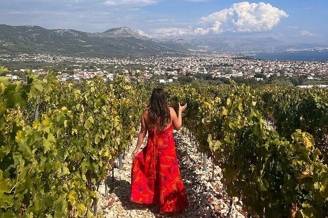 Private Krka Waterfalls Tour from Split  Fast Track Entry - Who Will Love This Tour?