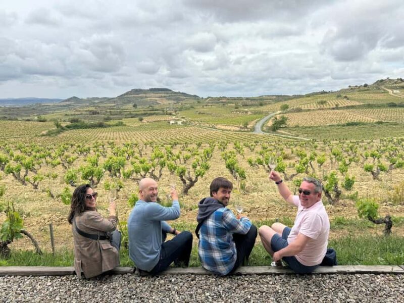Private La Rioja Day: Visit 2 Premium Wineries with lunch. - A Closer Look at the La Rioja Private Tour