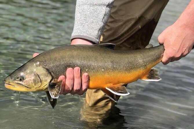 Private Lake and River Fishing Tour from Reykjavik - Is This Tour Worth the Price?