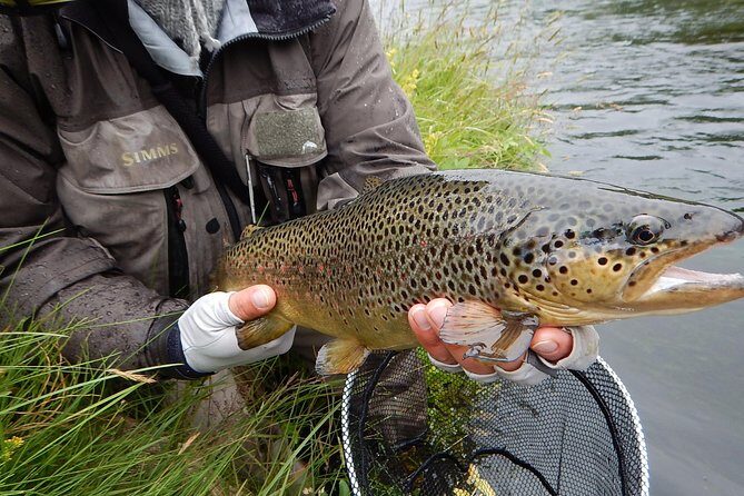 Private Lake and River Fishing Tour from Reykjavik - FAQ
