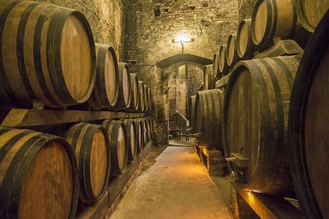Private Langhe and Barolo Wine Tour from Milan - A Closer Look at the Tour Itself