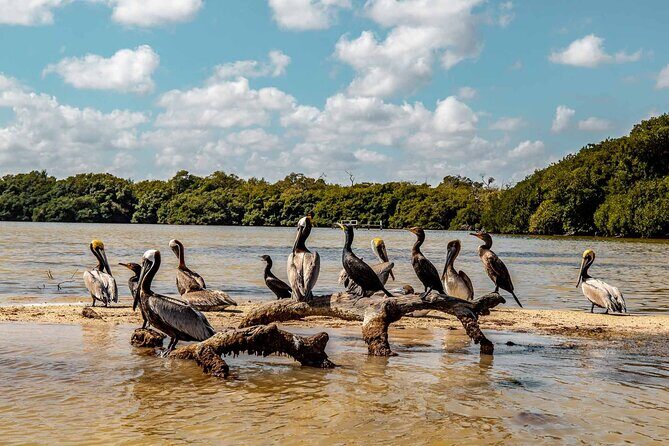 Private Las Coloradas and Ria Lagartos Tour - An In-Depth Look at the Tour Itinerary