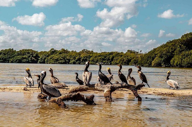 Private Las Coloradas and Ria Lagartos Tour - Authentic Perspectives from Travelers