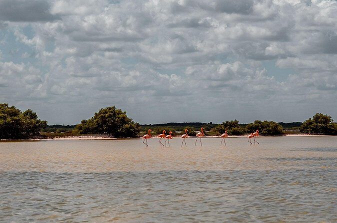 Private Las Coloradas and Ria Lagartos Tour - Final Thoughts: Is This Tour Right for You?