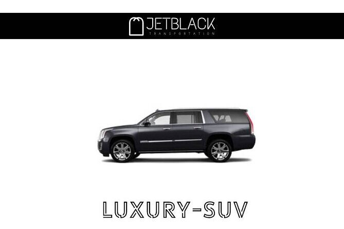 Private LGA Airport transfer / New York City (One Way) - Who Should Consider This Service?