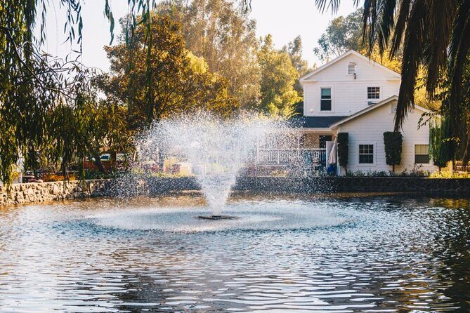 Private Limo Wine Tours in Sonoma and Napa Valley - Real Experiences from Travelers