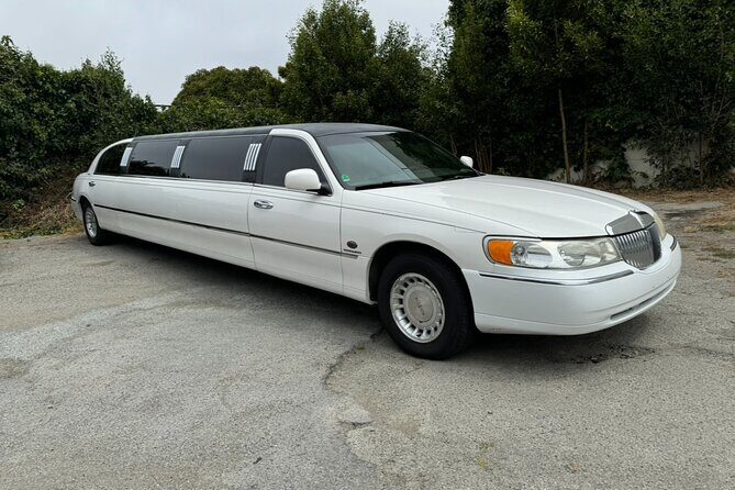 Private Limo Wine Tours in Sonoma and Napa Valley - Who Should Consider This Tour?