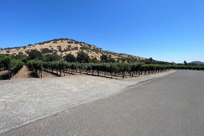 Private Limousine Tour of Napa or Sonoma Valley - FAQ