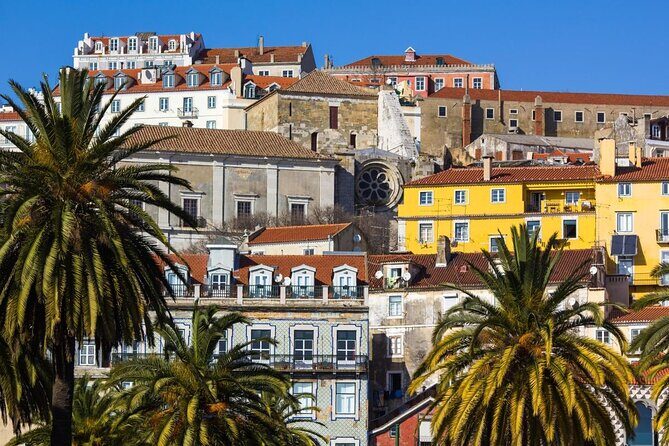 Private Lisbon Walking Tour - Key Points