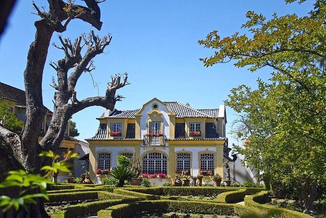 Private Lisbon wine tasting tour in the Setubal region - A Deep Dive Into the Tour Experience