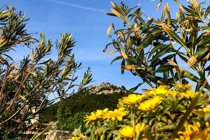 Private Lopud Walking Tour - Who Should Book This Tour?