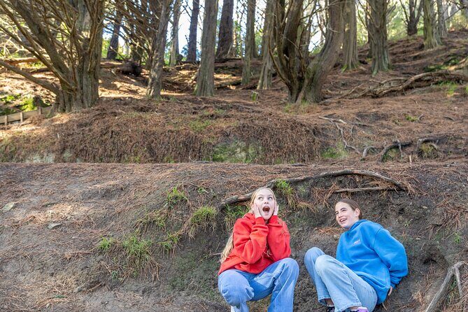 PRIVATE Lord of the Rings 1/2 Day Tour including keepsake - Exploring the Tour: A Step-by-Step Walkthrough