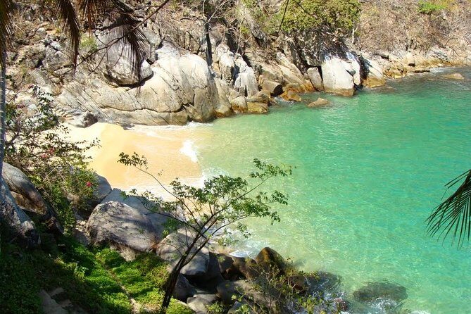 Private Los Arcos Snorkel and Beach Tour from Puerto Vallarta - Price and Value