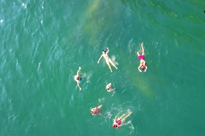 Private Los Arcos Snorkel and Beach Tour from Puerto Vallarta - Who Will Love This Tour?