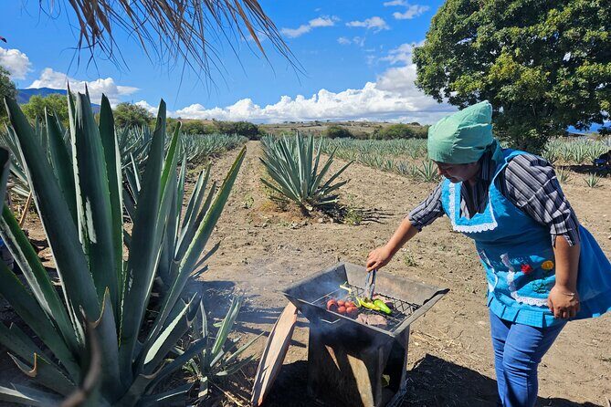 Private Lunch in Mezcal Maguey Fields - A Closer Look at the Tour