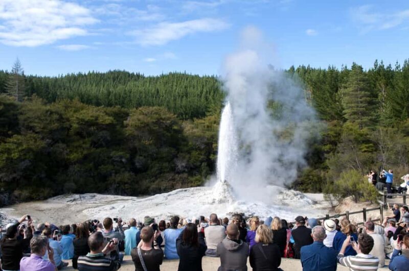 Private Luxury Auckland - Rotorua Geothermal Wonderlands - First Stop: Rotorua for Lunch and Cultural Introduction