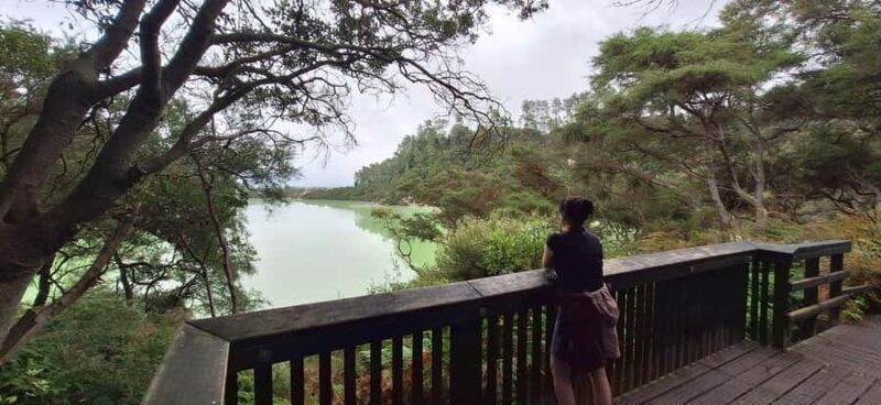 Private Luxury Auckland - Rotorua Geothermal Wonderlands - Real Traveler Insights