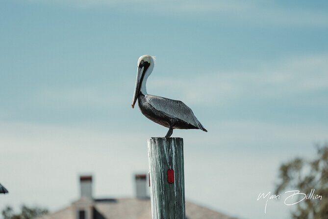 Private Luxury Boat Charter - FAQ