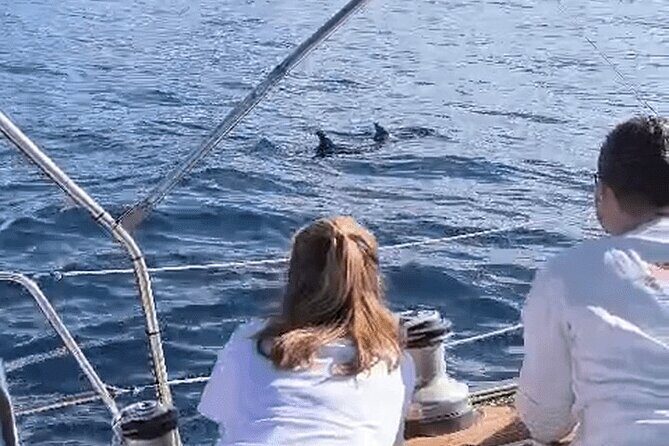 Private Luxury Boat Excursion Tour in Puerto Colon - What Could Be Better?