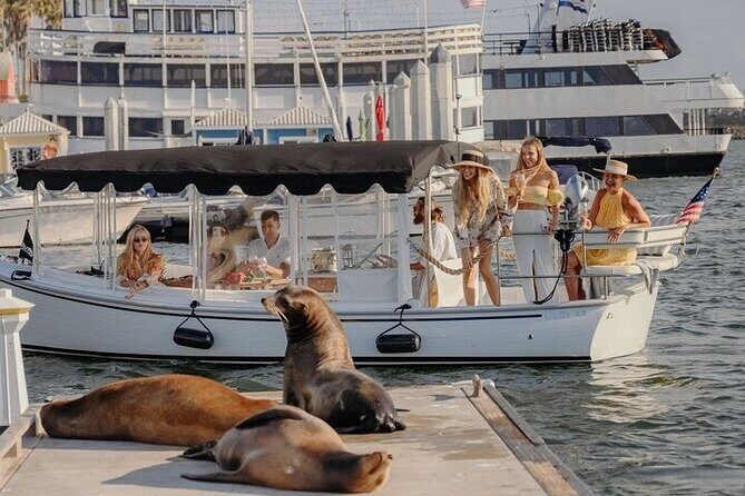 Private Luxury E-Boat Cruise with Wine, Charcuterie & Sea Lions Spotting - What You Can Expect from the Cruise Experience