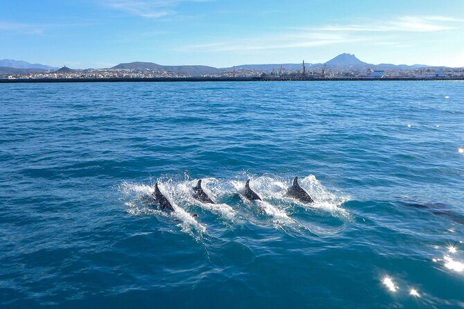 Private luxury Escape Sailing, Snorkel and Lunch Cruise - An In-Depth Look at the Experience