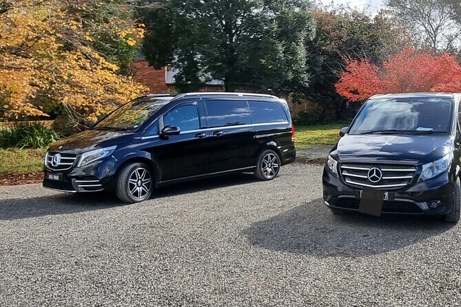 Private Luxury Great Ocean Road 2 Day Tour - Starting Off at Torquay