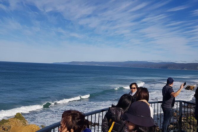 Private Luxury Great Ocean Road 2 Day Tour - What Makes This Tour Special?