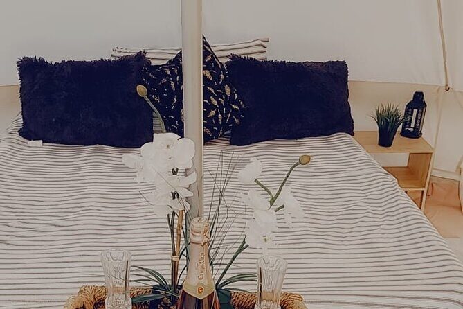 Private Luxury Picnic Experience in Hollywood - Final Thoughts